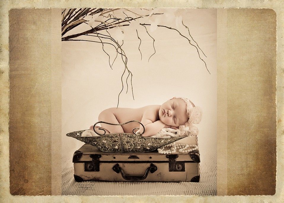 newborn baby with twigs