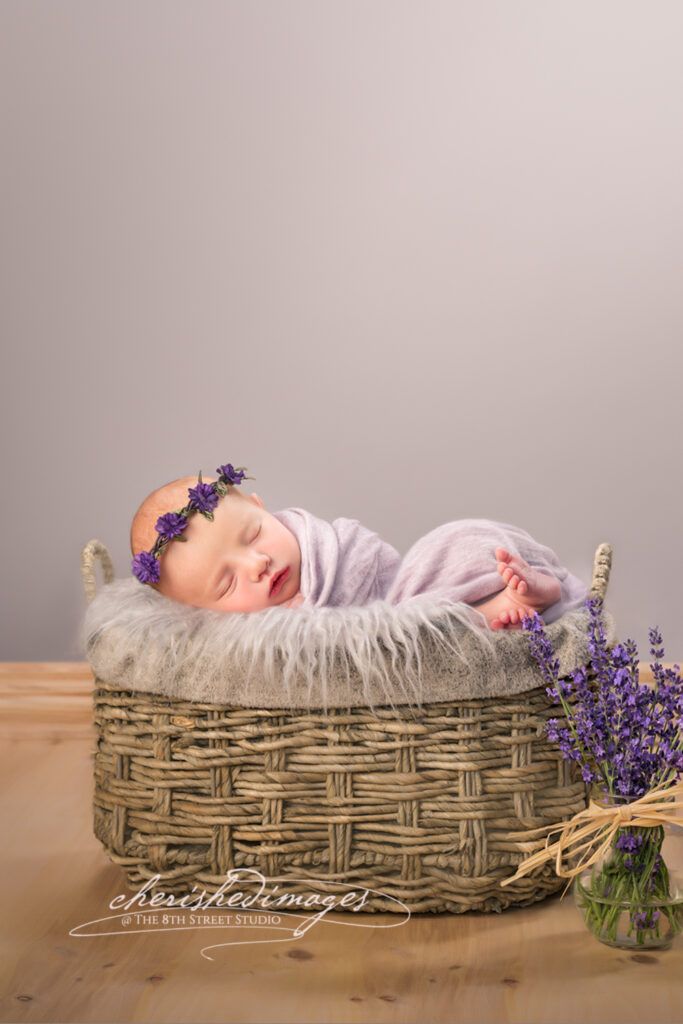 Newborn Baby Girl in Basket