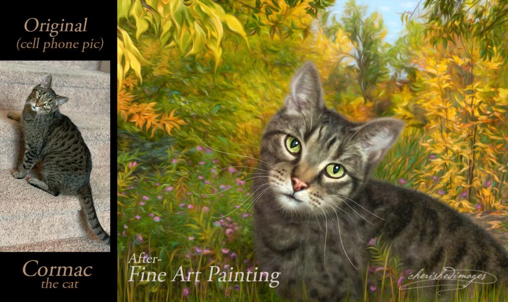 Before and After Digital Painting of Cat